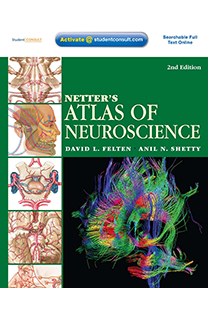 Netter’s Atlas of Neuroscience