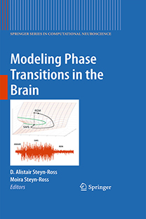 Modeling Phase Transitions in the Brain(4)
