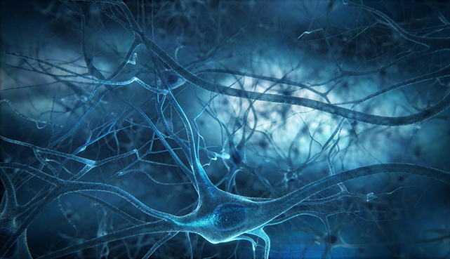 Судорожные пароксизмы при органическом поражении нервной системы