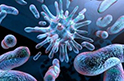 В США обнаружена устойчивая ко всем антибиотикам бактерия